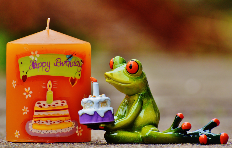 frog cake birthday